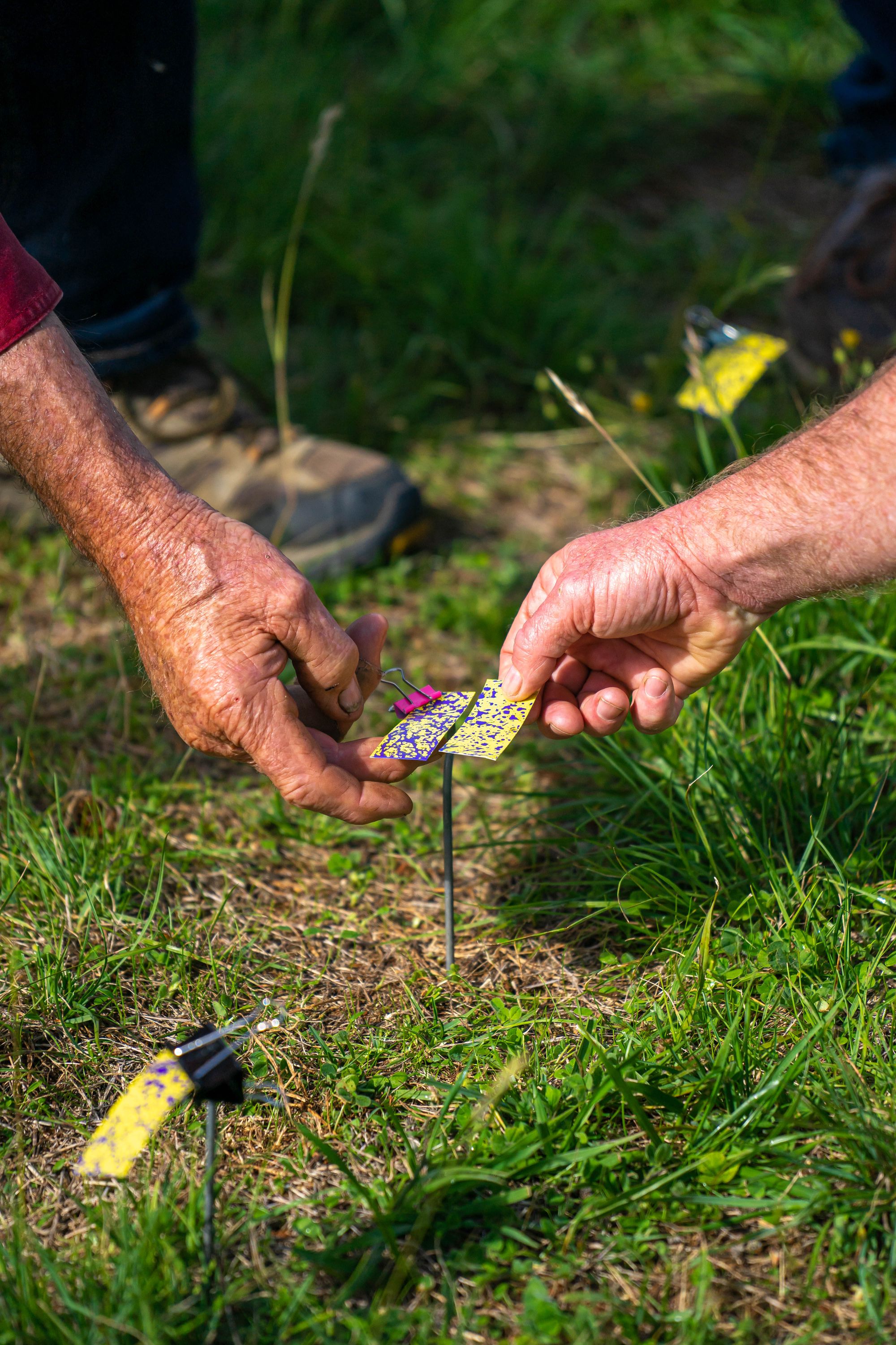 XAG IMEGA Poland Story