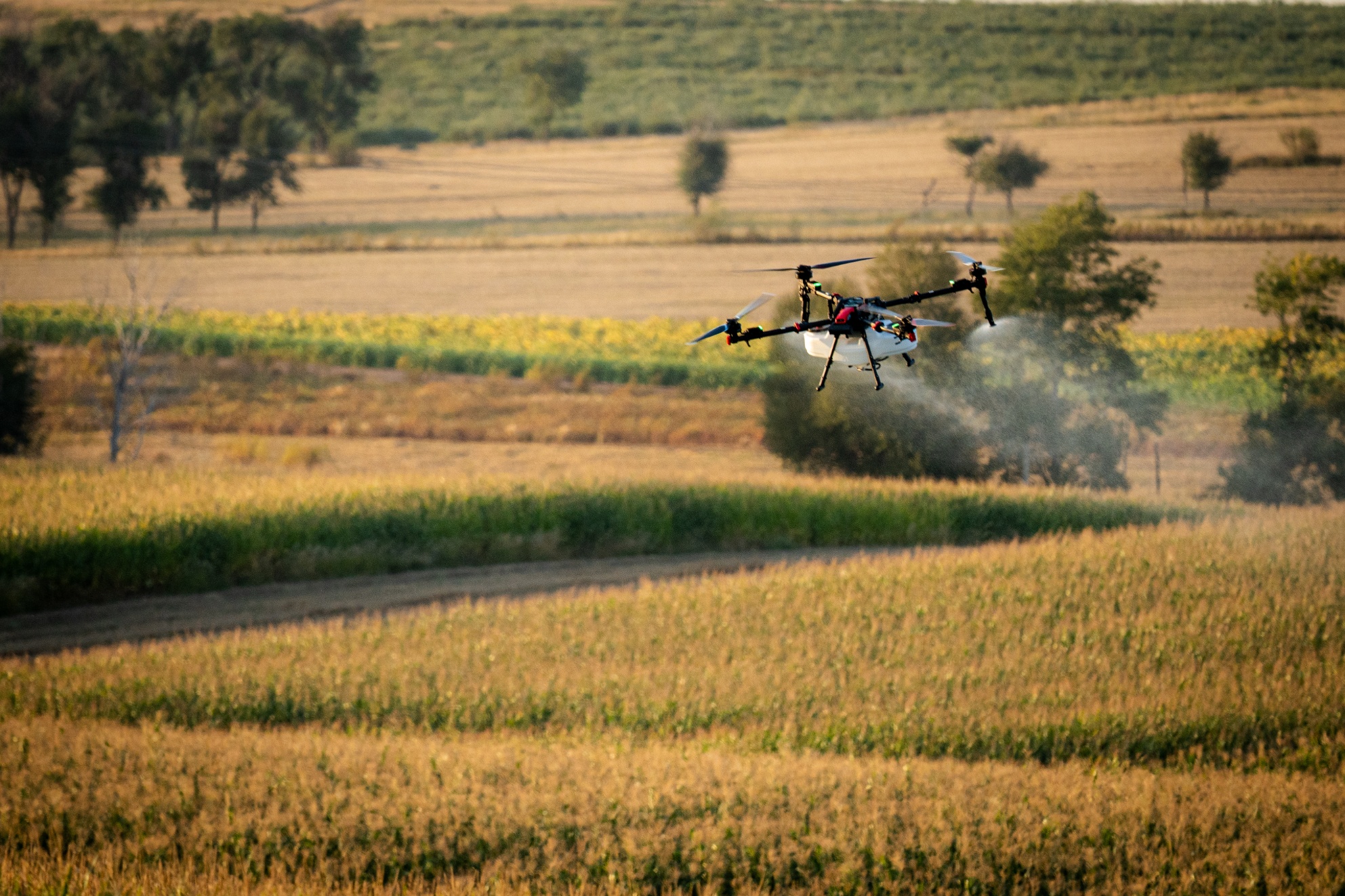 Dron rolniczy XAG P150 Max podczas oprysku pola