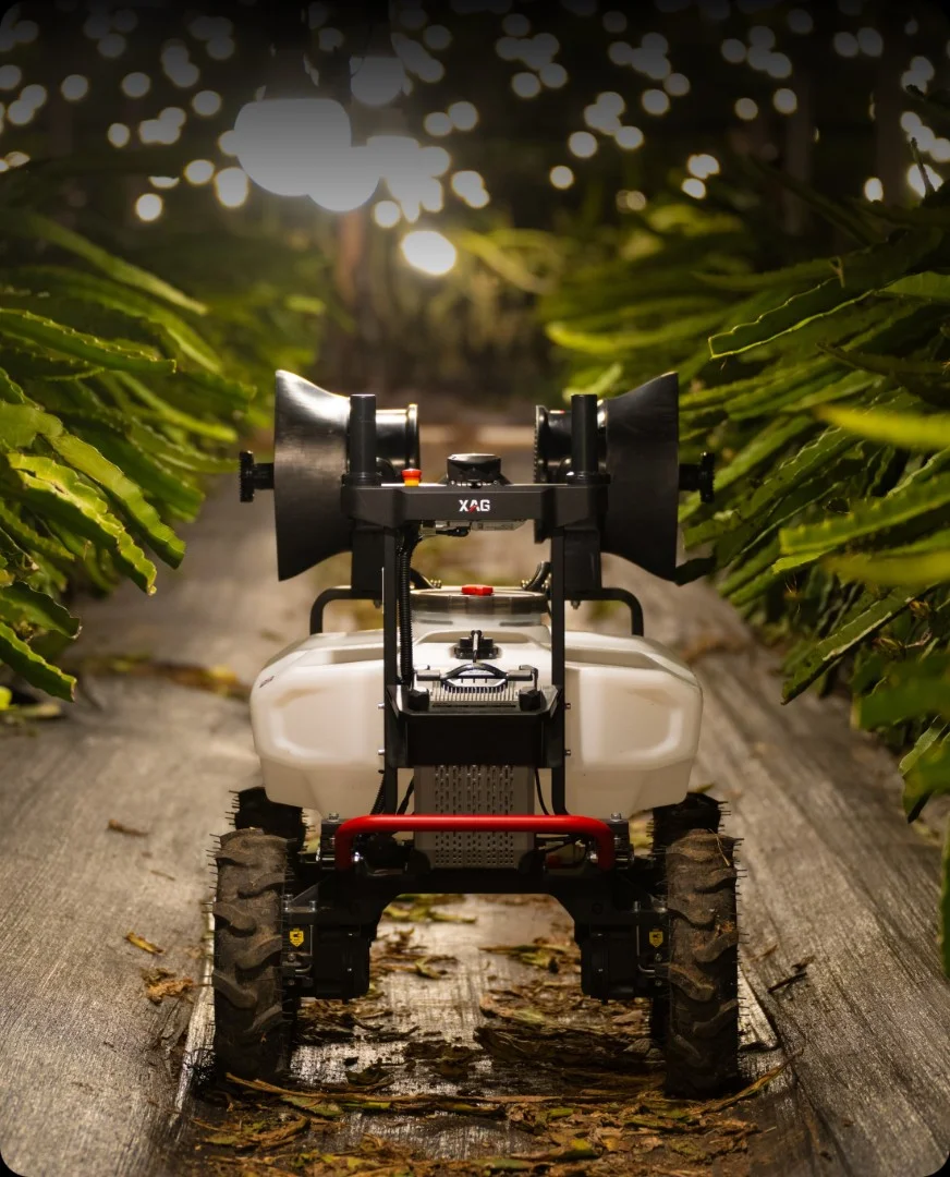 AI Safety Assistance