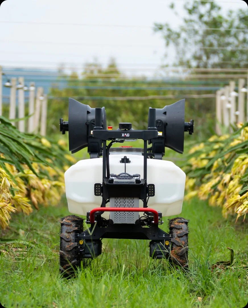 AI Safety Assistance